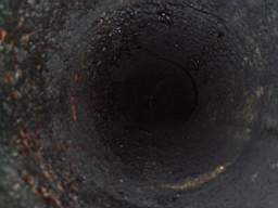 coolross 1790.jpg